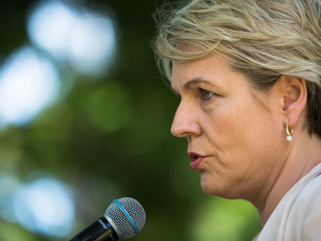 Deputy Opposition Leader Tanya Plibersek speaks to members of the community at Redfern Park in Sydney, Sunday, December 9, 2018. This year marks 26 years since Paul Keating, former Prime Minister of Australia delivered the historic Redfern Speech. (AAP Image/Paul Braven) NO ARCHIVING
