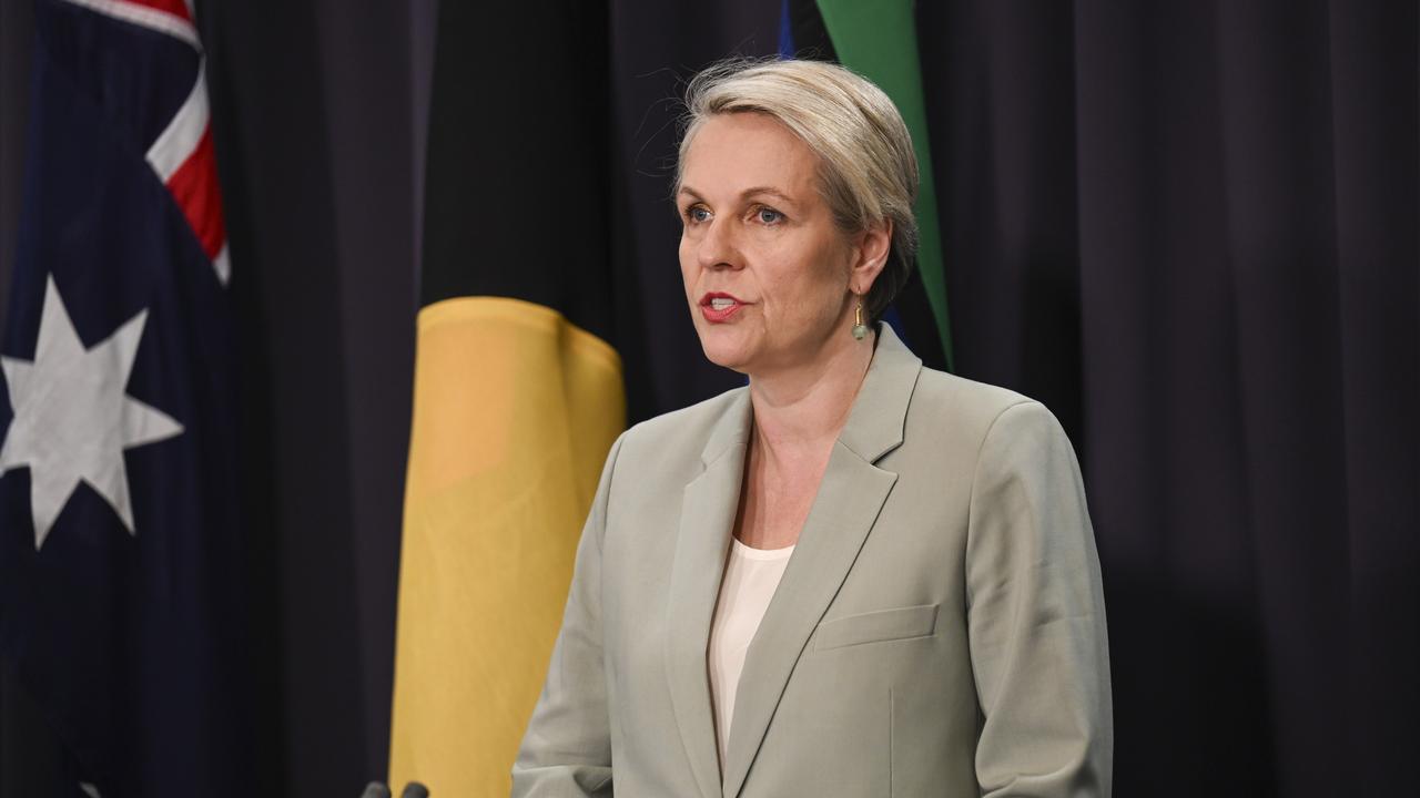 Environment Minister Tanya Plibersek holds a press conference at Parliament House in Canberra. Picture: NewsWire / Martin Ollman