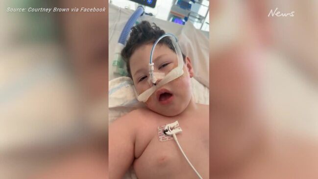 Devonport boy Dallas Brown, 4, wakes from coma