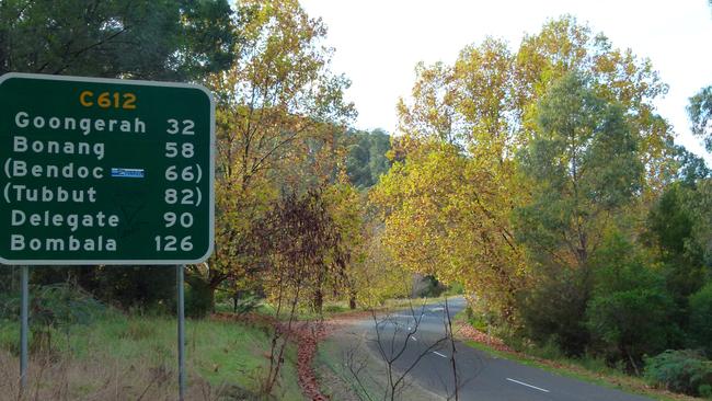 The adult driver and child passenger have died following a buggy crash in Tubbut.