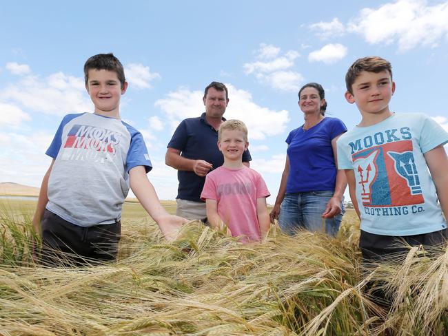 Farmer of the Year Finalists, Matthew & Rachel Hinkley, with thei kids William, 9, Thomas, 8, and joel, 6, "Kirkcaldy", Derrinallum,   Picture Yuri Kouzmin