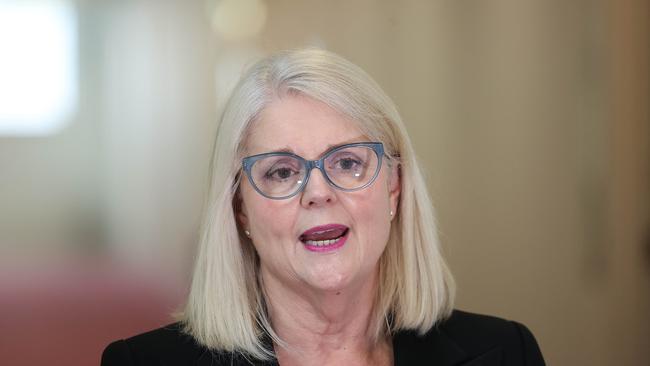 Home Affairs Minister Karen Andrews. Picture: NCA NewsWire / Gary Ramage