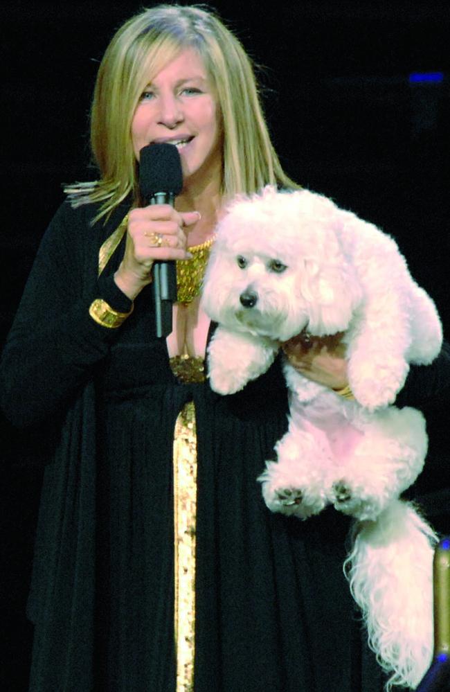 Barbra Streisand used company ViaGen to clone her beloved Maltipoo, Sammie