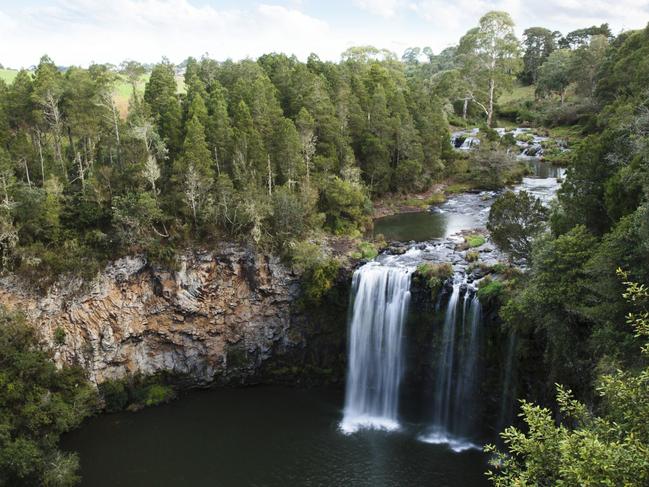 Dangar Falls, Dorrigo, is a popular tourist destination. Picture: Destination NSW.