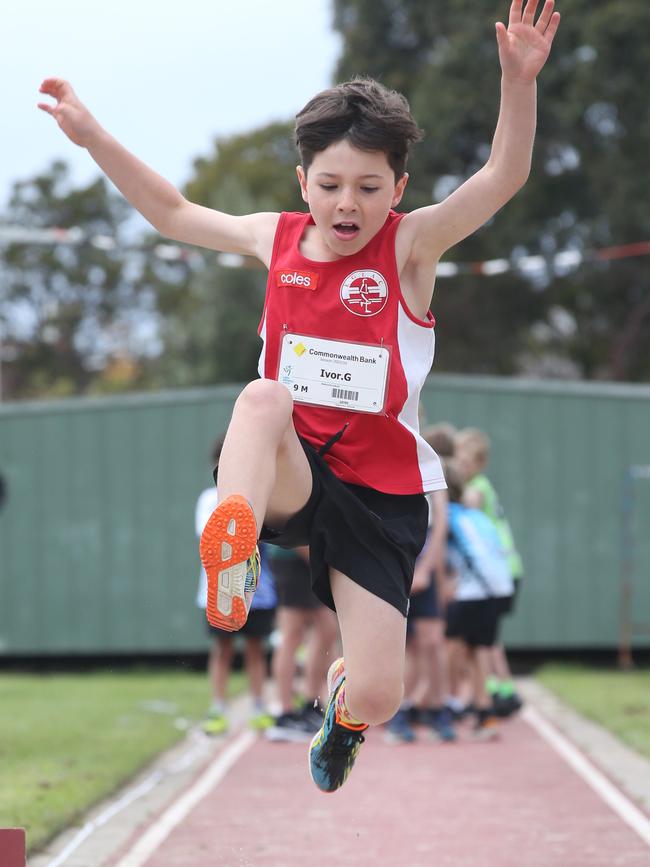 Leaping above and beyond. Picture: Alan Barber