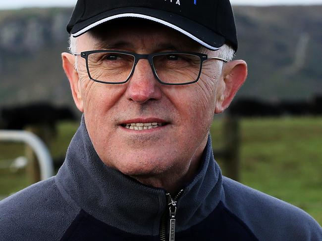 Prime Minister Malcolm Turnbull at Western Plains Farm, Stanley. PICTURE CHRIS KIDD