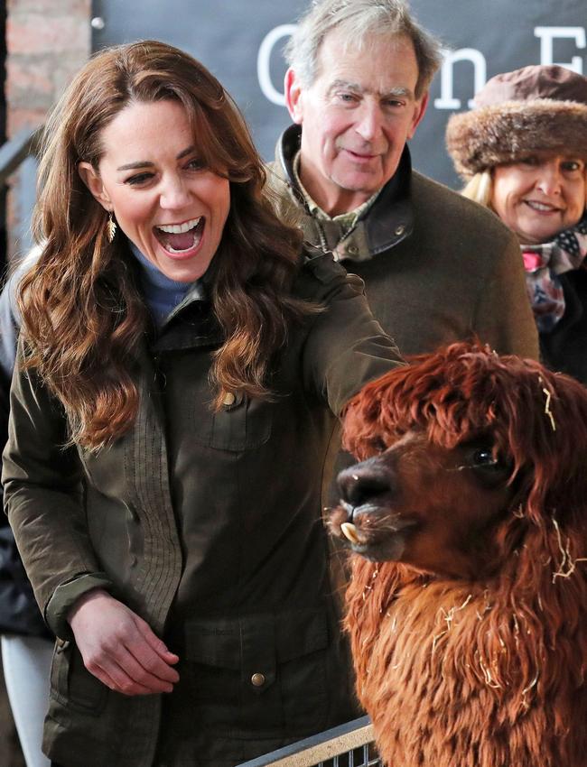 He is not amused. Picture: Liam McBurney / POOL / AFP