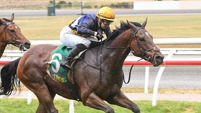 Saffie Osborne has ridden three winners in Australia, including Cosmic Vega in the Kilmore Cup. Picture: Brett Holburt/Racing Photos