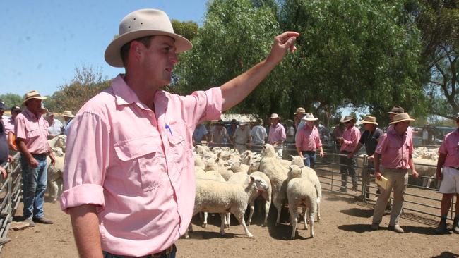 Elders Bendigo livestock manager Nigel Starick says the lamb market is hard to predict at the moment.