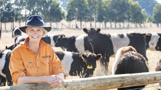 Walden Park owner Donna Coutts with her Belted Galloway cattle. Picture: Zoe Phillips