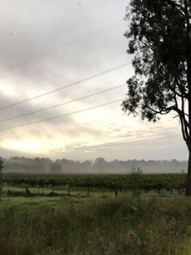 The morning of, where fog is present. Credit: ATSB