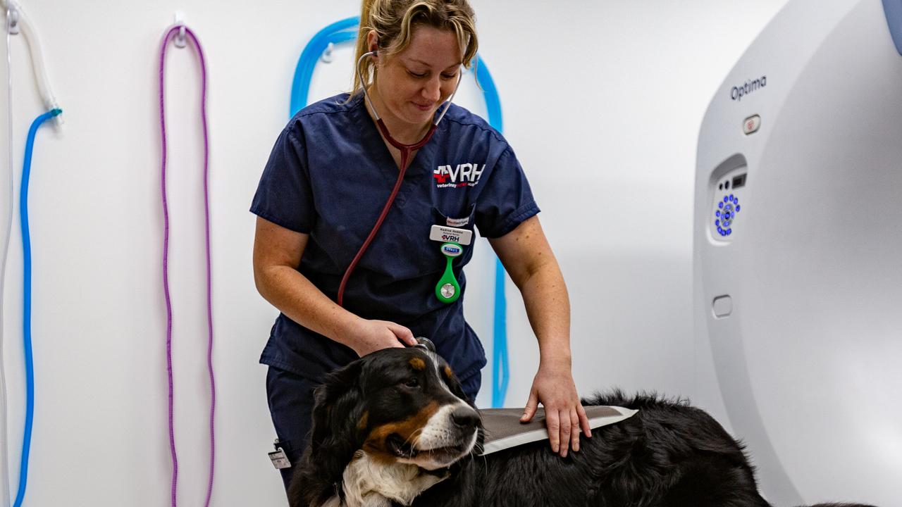 Dandenong 24-hour vet emergency hospital opens its doors | Herald Sun