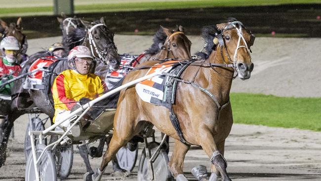 Queen Elida will head to New Zealand after this Saturday night’s Group 1 Sumthingaboutmaori at Melton. Picture: Stuart McCormick