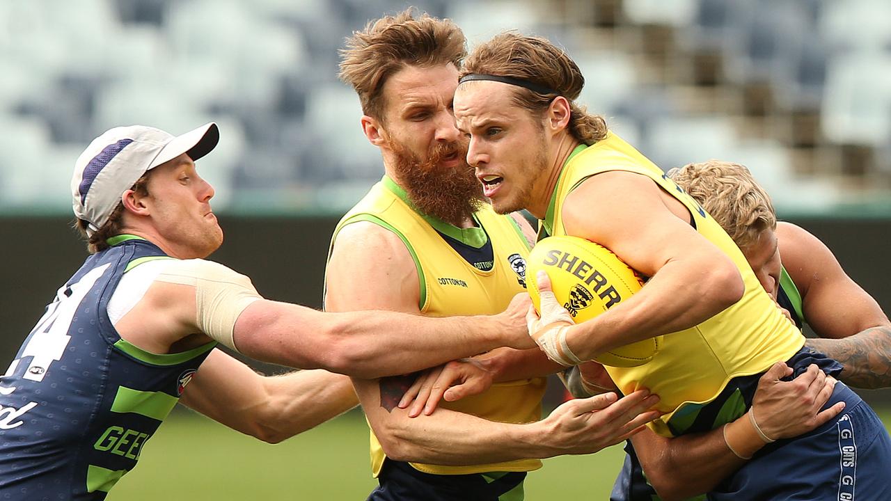 Afl Finals 2019 Geelong Cats V West Coast Cats Brutal Training