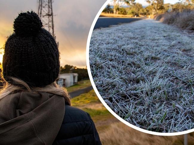 ‘COLD, COLD, COLD’: Freezing temps bring frost, but no winter wonderland