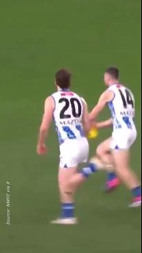 Goal assist of the year stuns AFL fans