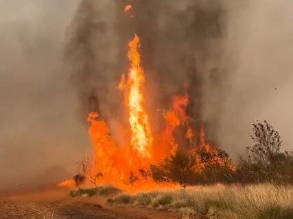 Silver Bridle Contracting captured video of a fire tornado in Tennant Creek amid a catastrophic fire season in the NT.