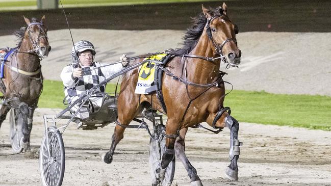 Leap to Fame in full flight. Photo: Stuart McCormick.