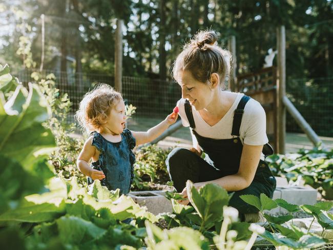 A mother and her baby daughter pick fresh strawberries from their garden on a warm late summer morning at their home. Shot in Washington state.