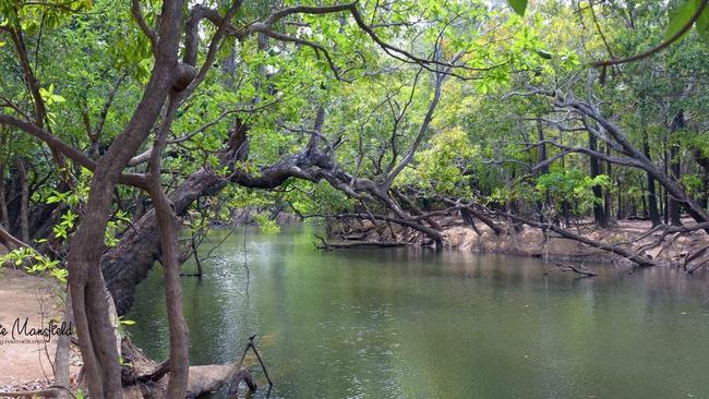 A search is underway for a 65-year-old Kevin Darmody, believed to have been taken by a crocodile at the Kennedy Bend camping area in Lakefield National Park, 340km north west of Cairns. The last crocodile fatality in Queensland was at Hinchinbrook Island in February 2021. Picture: Supplied