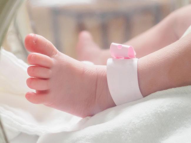 Newborn girl baby inside incubator in hospital post delivery room with identification bracelet tag name   istock image