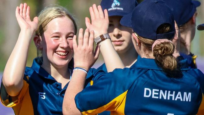 Tahlia Denham (right) congratulates a teammate after a wicket during the Junior Strike League. Picture: NT Cricket.