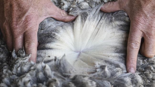 One industry expert estimated about 20 per cent of wool production was sitting in brokers’ stores across the country. Picture: Dannika Bonser