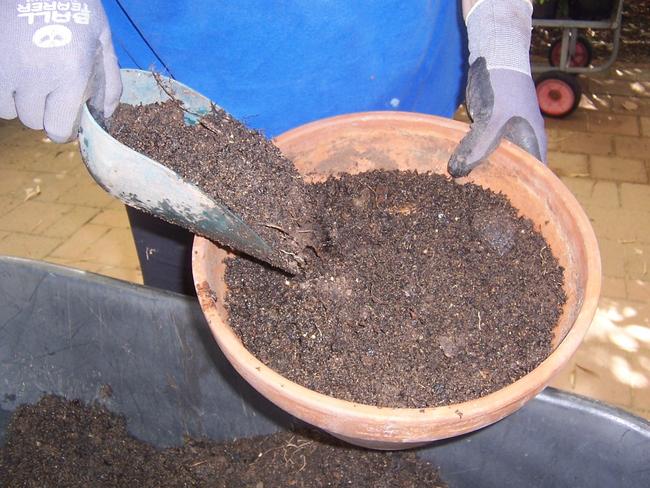 The production of potting mix has been suggested as a possible cause of the smell.