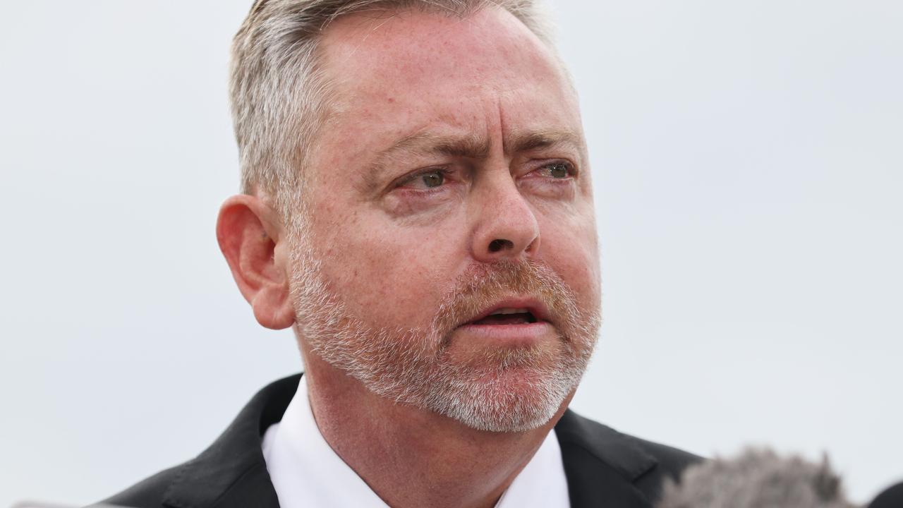 Senior MP slams ‘cockroaches’ undermining Liberal reform