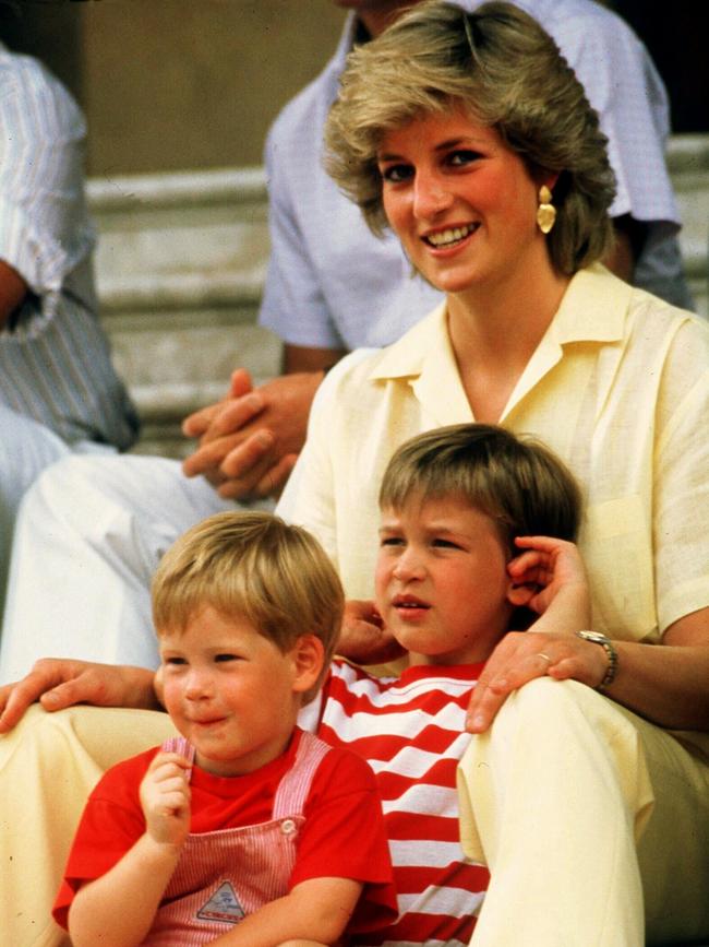 Princess Diana was beloved by the British public.