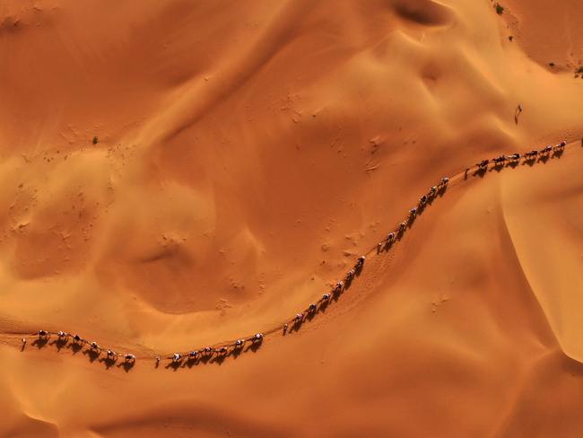 An aerial photo shows visitors riding camels at the Shapotou scenic area, part of the Tengger Desert near Zhongwei in northwest China's Ningxia Hui Autonomous Region. The area is enjoying its peak tourism season with up to 10,000-plus daily visitors. Picture: Wang Peng / Xinhua via Getty Images