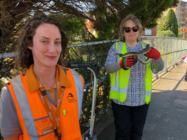 Melissa O'Connor (left) with snake handler Trish Kroll. Picture: Sydney Wildlife