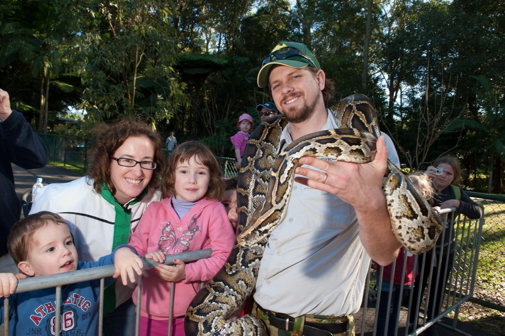 Matt Hartley introduces a friendly snake to the crowd at Bindi Irwin's 14th birthday party at Australia Zoo. . Picture: Warren Lynam