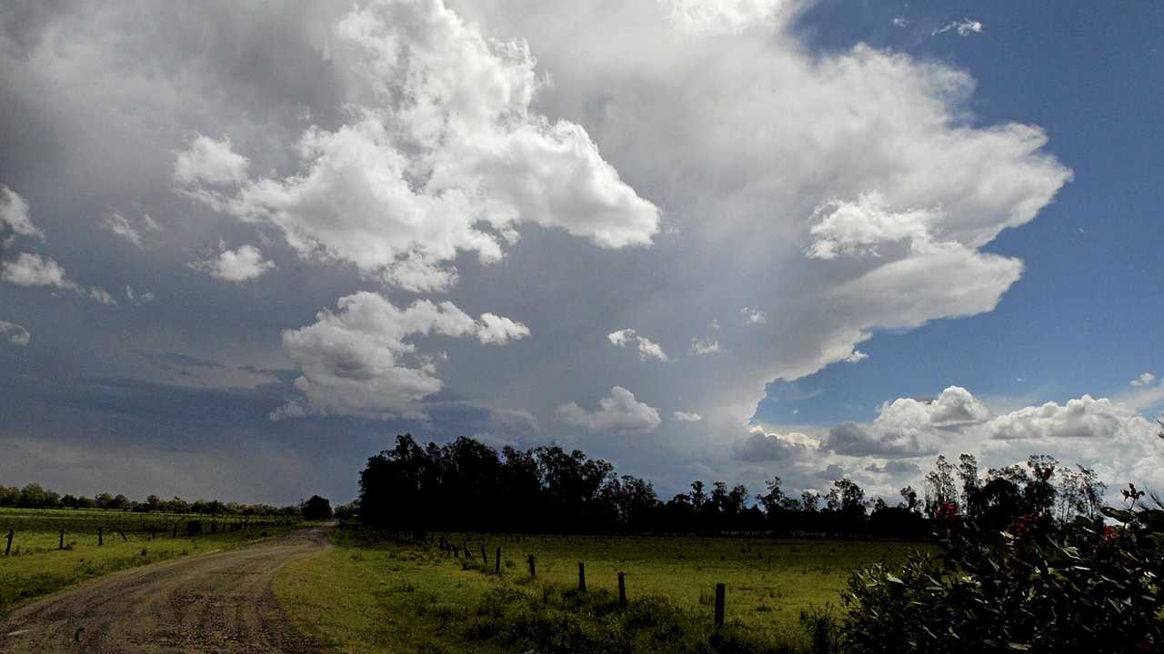 Wild Stuff: Frogs can predict the weather by singing longer and louder when  bad weather approaches