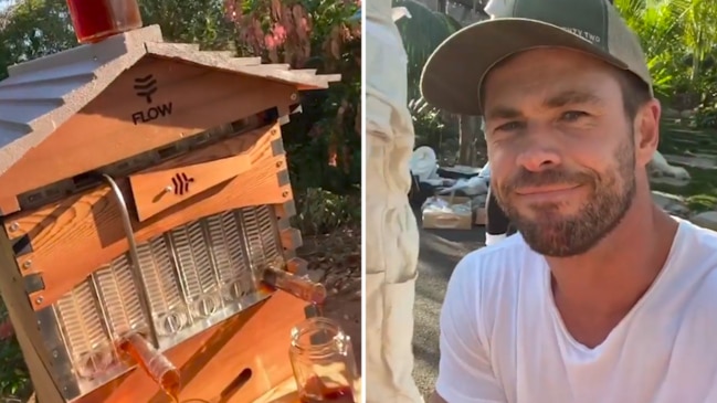 Thor’s Chris Hemsworth shares his beehive set-up