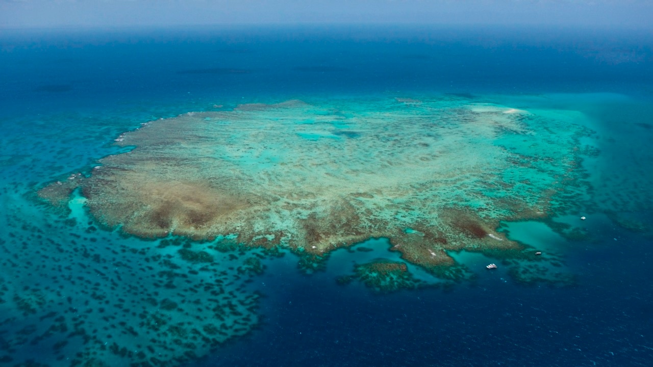 Australians disappointed with government’s climate change efforts | Sky ...