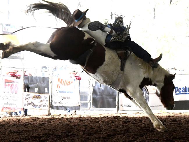 NEBO RODEO 2019: Dallas Hay 2nd Div Bareback Bronc Ride