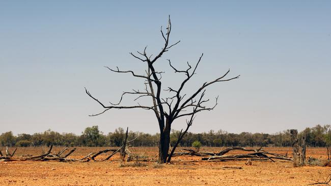 Drought ravaged fields west of Cunnamulla in Queensland in November 2019. Picture: Lachie Millard