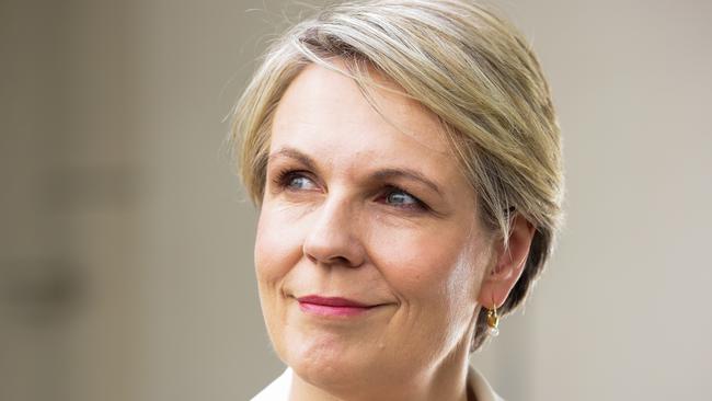 Opposition women’s spokeswoman Tanya Plibersek. Picture: Gaye Gerard