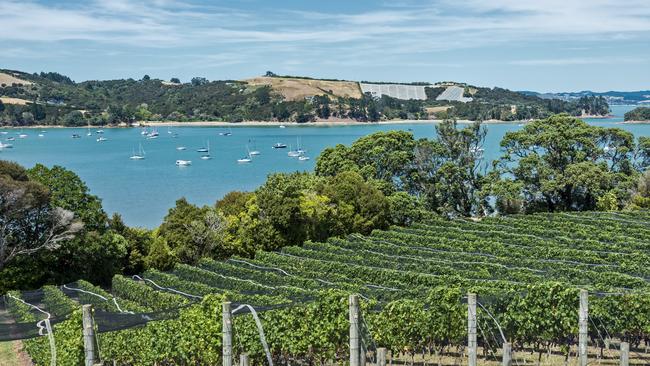 Waiheke is a winelovers delight.