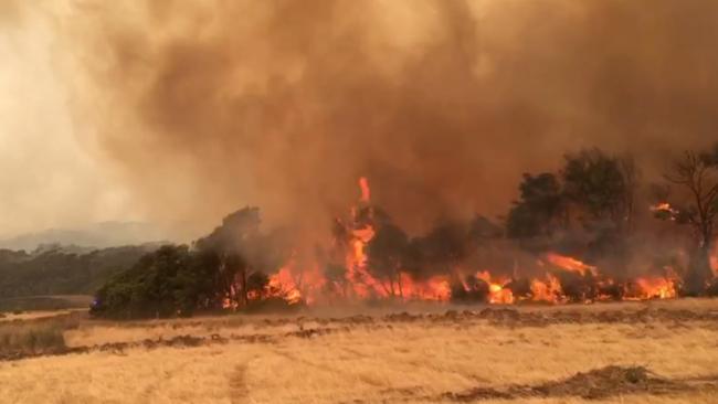 Blazes on Kangaroo Island yesterday were described as "virtually unstoppable".