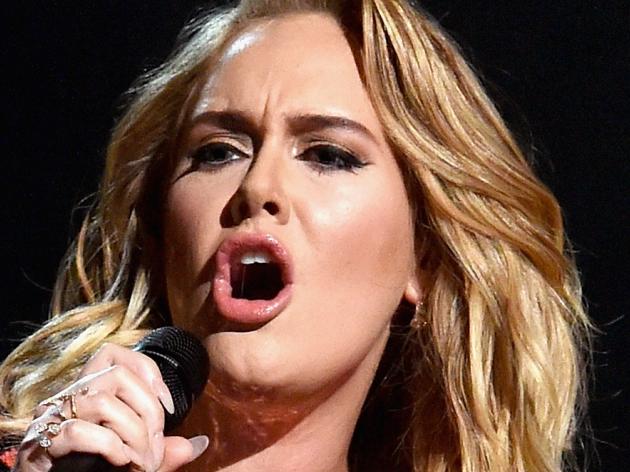LOS ANGELES, CA - FEBRUARY 12:  Singer Adele performs onstgage during The 59th GRAMMY Awards at STAPLES Center on February 12, 2017 in Los Angeles, California.  (Photo by Lester Cohen/Getty Images for NARAS)