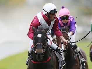 Racing at Grafton 8/7/15 Rock Royalty ridden by Chris Whiteley wins the Ramornie Handicap at Grafton