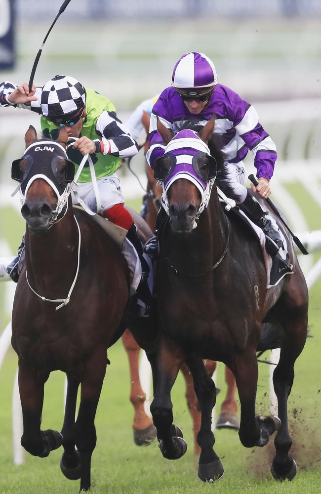 Glyn Schofield on Higher Ground (right) edges out Michael Walker and Tangled to win race four on All Aged Stakes Day. Picture: Getty Images