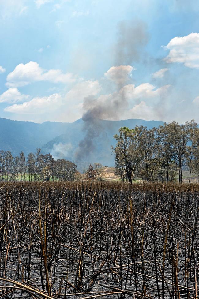 Fire damage between Finch Hatton and Netherdale. Across the road from this cane field a home was lost. Picture: Emma Murray