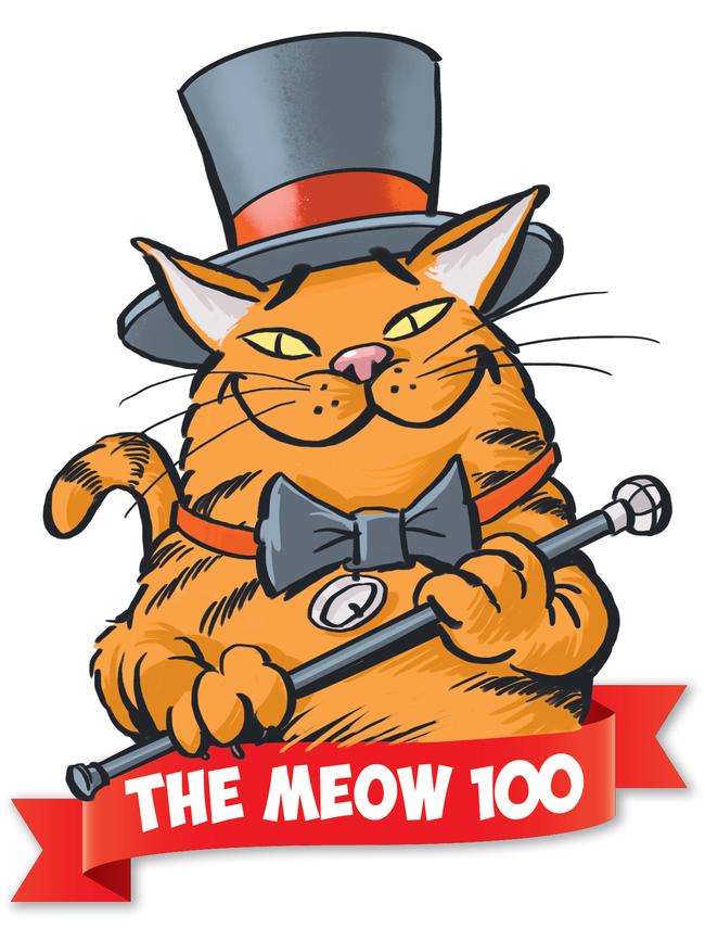 Do you have a Meow 100 contender?