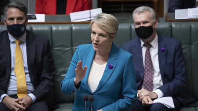 Minister for the Environment and Water Tanya Plibersek during Question Time. Picture: Gary Ramage