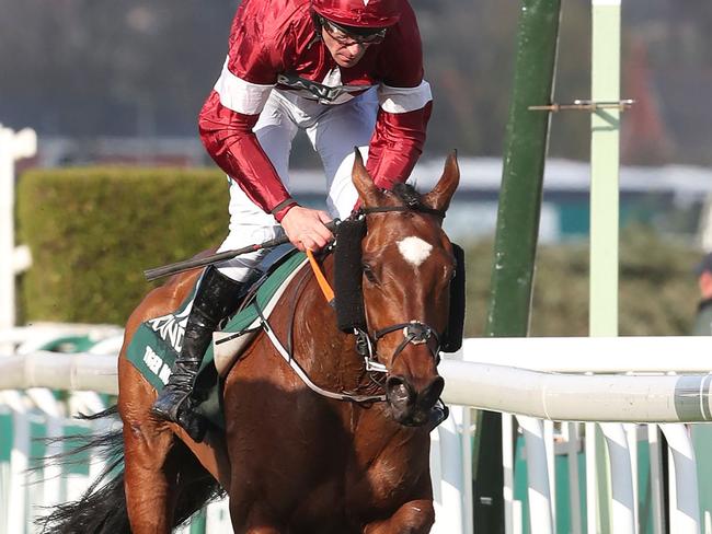 Jockey Davy Russell on Tiger Roll pass the winning post to win the Grand National horse race Aintree Racecourse in England. Picture: AFP Photo