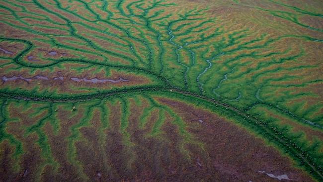 A view of the spectacular but highly fragile ecosystem of the Channel Country flood plains of western Queensland, part of the vast Lake Eye basin that is the world’s largest internal drainage system. Picture: Pew