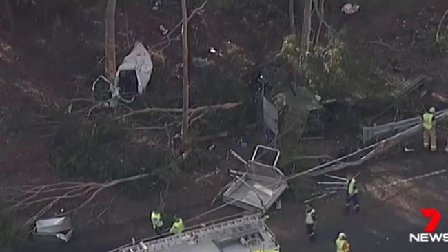 Mr Harvey’s vehicle hit several trees. Pictures: 7 News